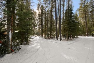 Photo 13: 8 South Raven Close: Rural Clearwater County Detached for sale : MLS®# A1186166