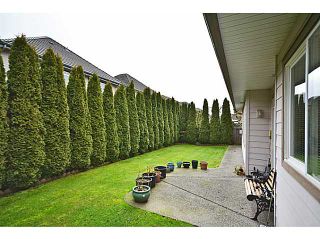Photo 11: 3728 LAM Drive in Richmond: Terra Nova House for sale : MLS®# V1043376