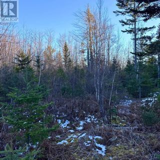 Photo 10: 18474 Highway 103 in Middlewood: Vacant Land for sale : MLS®# 202401030