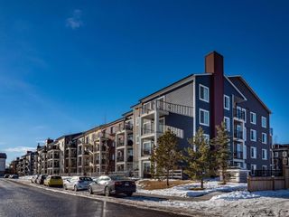 Photo 1: 1107 99 Copperstone Park SE in Calgary: Copperfield Apartment for sale : MLS®# A2023554