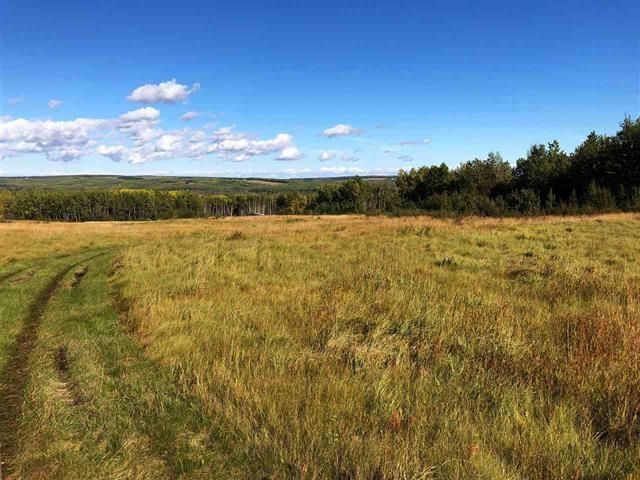 Main Photo: LOT 8 GOLF COURSE Road in Charlie Lake: Lakeshore Land for sale (Fort St. John)  : MLS®# R2828702
