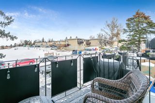 Photo 30: 4 1603 McGonigal Drive NE in Calgary: Mayland Heights Row/Townhouse for sale : MLS®# A2013060