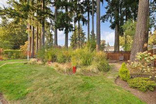 Photo 46: 576 Tena Pl in Colwood: Co Wishart North House for sale : MLS®# 919485