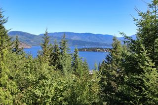 Photo 24: 2383 Mt. Tuam Crescent in : Blind Bay House for sale (South Shuswap)  : MLS®# 10164587