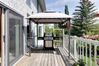 Photo 42: 148 Scandia Hill NW in Calgary: Scenic Acres Detached for sale : MLS®# A2052020