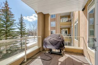 Photo 14: 6204 14 Hemlock Crescent SW in Calgary: Spruce Cliff Apartment for sale : MLS®# A2037886