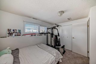 Photo 32: 195 Pinecliff Way NE in Calgary: Pineridge Detached for sale : MLS®# A2124953