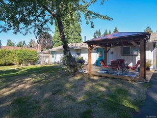 Photo 36: 3797 MEREDITH DRIVE in ROYSTON: CV Courtenay South House for sale (Comox Valley)  : MLS®# 771388