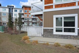 Photo 26: 3102 302 Skyview Ranch Drive NE in Calgary: Skyview Ranch Apartment for sale : MLS®# A2118945