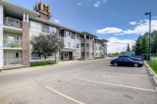 Photo 42: 124 8200 4 Street NE in Calgary: Beddington Heights Apartment for sale : MLS®# A2017788