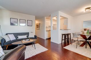 Photo 11: 303 607 7 Avenue NE in Calgary: Renfrew Apartment for sale : MLS®# A2033863