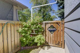 Photo 43: 1240 19 Street NE in Calgary: Mayland Heights Detached for sale : MLS®# A1239464