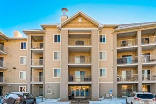 Photo 1: 3413 1620 70 Street SE in Calgary: Applewood Park Apartment for sale : MLS®# A1258533