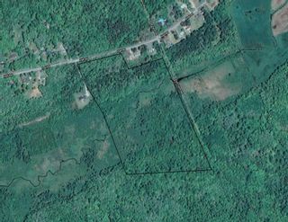 Photo 1: Lot Hall Road in South Greenwood: 404-Kings County Vacant Land for sale (Annapolis Valley)  : MLS®# 202110363