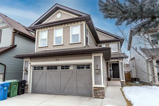 Photo 1: 76 Chaparral Valley Green SE in Calgary: Chaparral Detached for sale : MLS®# A1177719