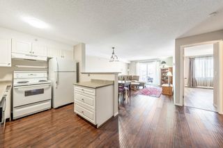 Photo 5: 307 3000 Citadel Meadow Point NW in Calgary: Citadel Apartment for sale : MLS®# A2012008