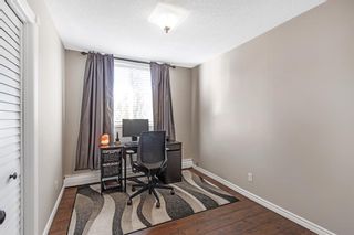 Photo 12: 201 516 Cedar Crescent SW in Calgary: Spruce Cliff Apartment for sale : MLS®# A2027231