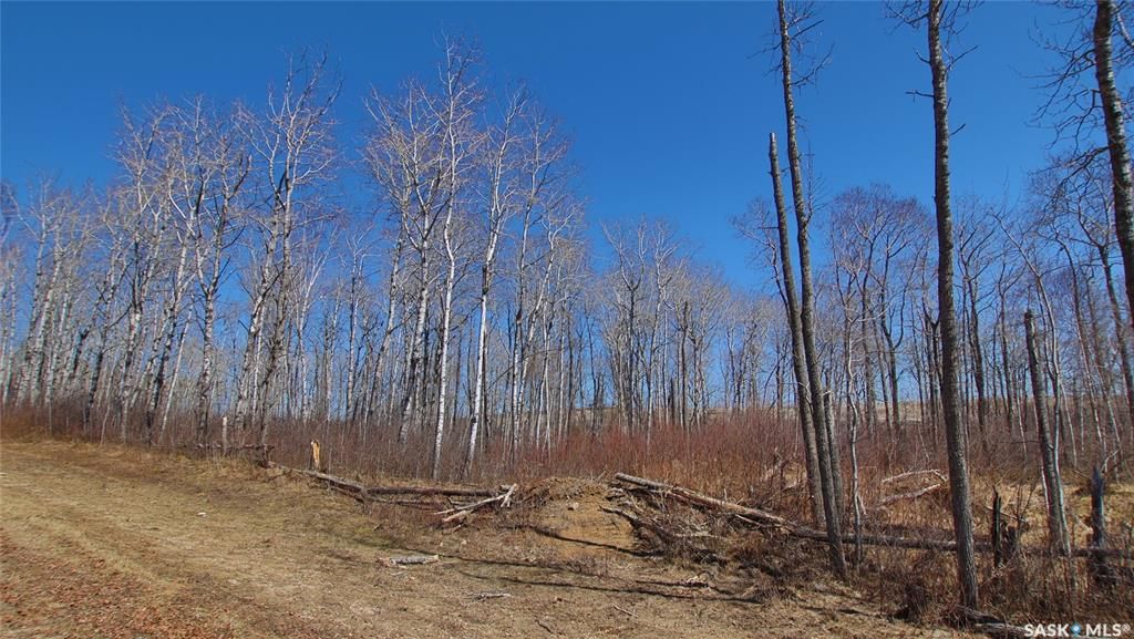 Main Photo: Keg Lake Block 100 Lot 13 in Canwood: Lot/Land for sale (Canwood Rm No. 494)  : MLS®# SK914993