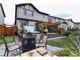 Photo 36: 100 CHAPARRAL VALLEY Terrace SE in Calgary: Chaparral House for sale : MLS®# C4086048