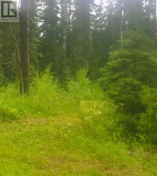 Photo 7: 991 Fox Drive in Sandy Lake: Vacant Land for sale : MLS®# A2065960