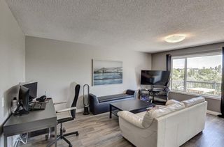 Photo 14: 137 Bridlecreek Park SW in Calgary: Bridlewood Detached for sale : MLS®# A1240143