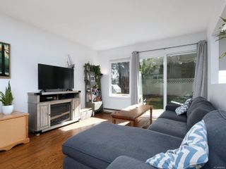 Photo 2: 12 2669 Shelbourne St in Victoria: Vi Jubilee Row/Townhouse for sale : MLS®# 869567