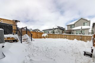 Photo 39: 201 Nolancrest Circle NW in Calgary: Nolan Hill Detached for sale : MLS®# A1208873