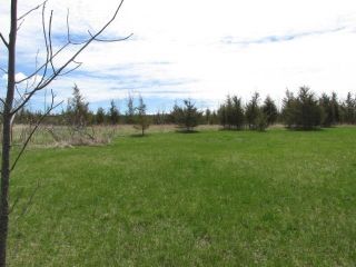 Photo 6: Pt Lot County Rd 15 in Prince Edward County: Sophiasburgh Property for sale : MLS®# X5225157