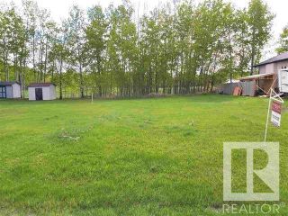 Photo 2: 4303 43 Avenue: Rural Lac Ste. Anne County Rural Land/Vacant Lot for sale : MLS®# E4272895