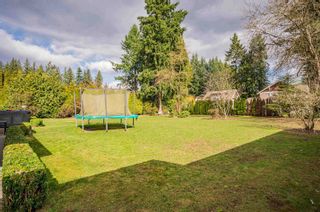 Photo 7: 5118 235 Street in Langley: Salmon River House for sale : MLS®# R2856954