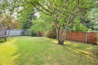 Photo 15: 172 Edendale Way NW in Calgary: Edgemont Detached for sale : MLS®# A1133694