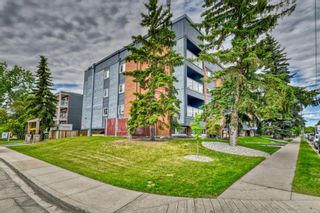 Photo 19: 407 611 8 Avenue NE in Calgary: Renfrew Apartment for sale : MLS®# A1121904