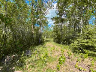 Photo 4: N/W Corner Rang 204 & Twp Rd 510: Rural Strathcona County Rural Land/Vacant Lot for sale : MLS®# E4247043