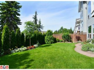 Photo 9: 20188 - 68A Avenue in Langley: Willoughby Heights House for sale in "Woodbridge" : MLS®# F1208857