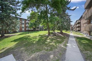 Photo 3: 733 11620 Elbow Drive SW in Calgary: Canyon Meadows Apartment for sale : MLS®# A2055019
