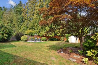 Photo 29: 21453 EXETER Avenue in Maple Ridge: West Central House for sale : MLS®# R2722586