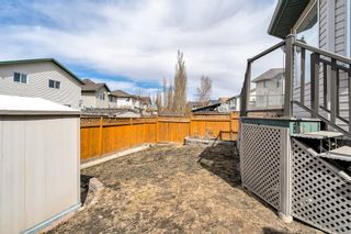 Photo 44: 222 Douglas Ridge Circle SE in Calgary: Douglasdale/Glen Detached for sale : MLS®# A2034801