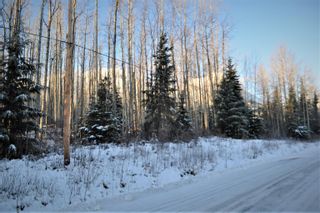 Photo 14: GLACIER GULCH RD ROAD in Smithers: Smithers - Rural Land for sale (Smithers And Area (Zone 54))  : MLS®# R2633357