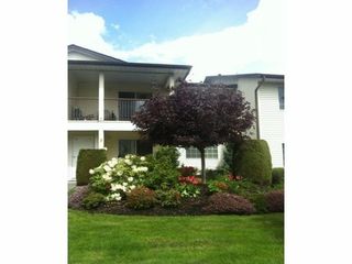 Photo 8: 3 6467 197TH Street in Langley: Home for sale : MLS®# F1409682