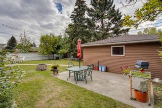 Photo 28: 7339 37 Avenue NW in Calgary: Bowness Detached for sale : MLS®# A2002544