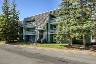 Photo 3: 9107 315 Southampton Drive SW in Calgary: Southwood Apartment for sale : MLS®# A1105768