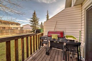 Photo 14: 39 Abbeydale Villas NE in Calgary: Abbeydale Row/Townhouse for sale : MLS®# A2124605