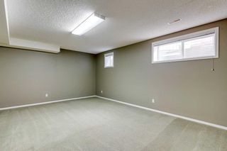 Photo 26: 25 Martha's Green NE in Calgary: Martindale Detached for sale : MLS®# A2129455
