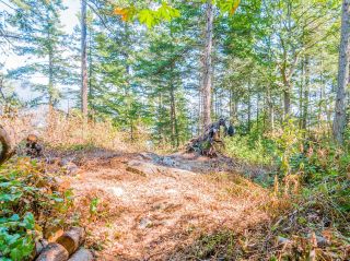Photo 3: 16 PASSAGE Island in West Vancouver: Passage Island Land for sale : MLS®# R2833774