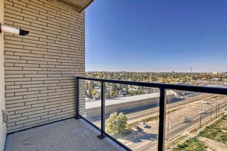 Photo 9: 1217 8880 Horton Road SW in Calgary: Haysboro Apartment for sale : MLS®# A2081789