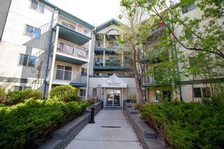 Photo 2: 116 21 Dover Point SE in Calgary: Dover Apartment for sale : MLS®# A2133420