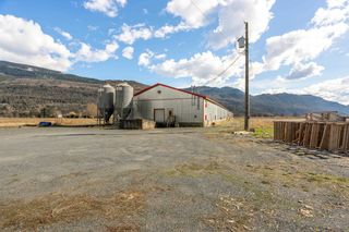 Photo 34: 40650 NO. 5 Road in Abbotsford: Sumas Prairie Agri-Business for sale : MLS®# C8050431