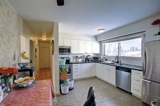 Photo 15: 1203 16 Street NE in Calgary: Mayland Heights Detached for sale : MLS®# A1186023