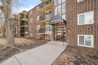 Photo 2: 305 635 57 Avenue SW in Calgary: Windsor Park Apartment for sale : MLS®# A2124917