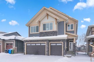 Photo 49: 126 Legacy Woods Circle SE in Calgary: Legacy Detached for sale : MLS®# A2101398